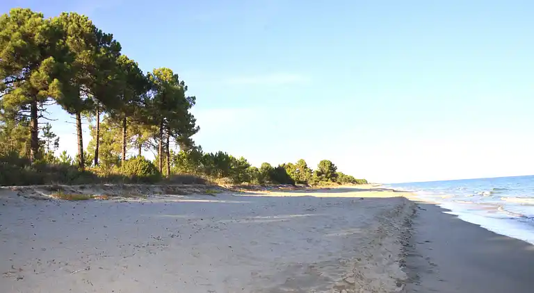 Marina Corsa Residence - Wohnung 4 Personen am Meer