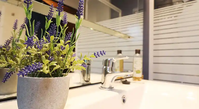 Apartment in Haulerwijk