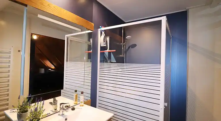 Apartment in Haulerwijk