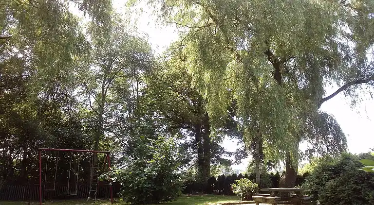 Farm house in Waskemeer