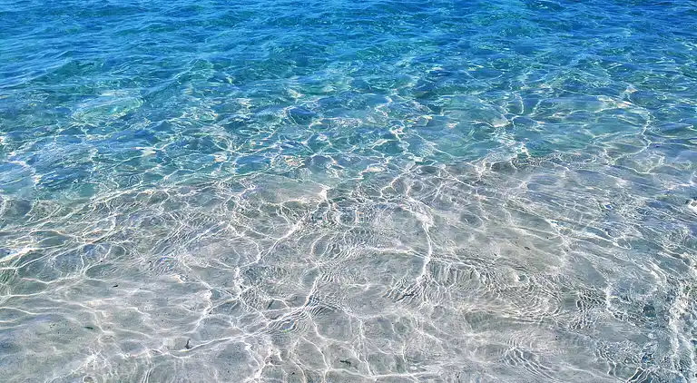 Apartments Palm Garden