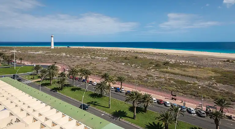 Apartments Palm Garden