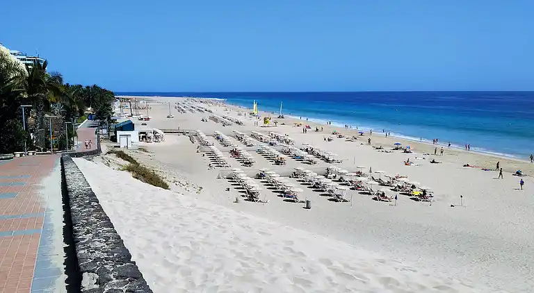 Apartments Palm Garden