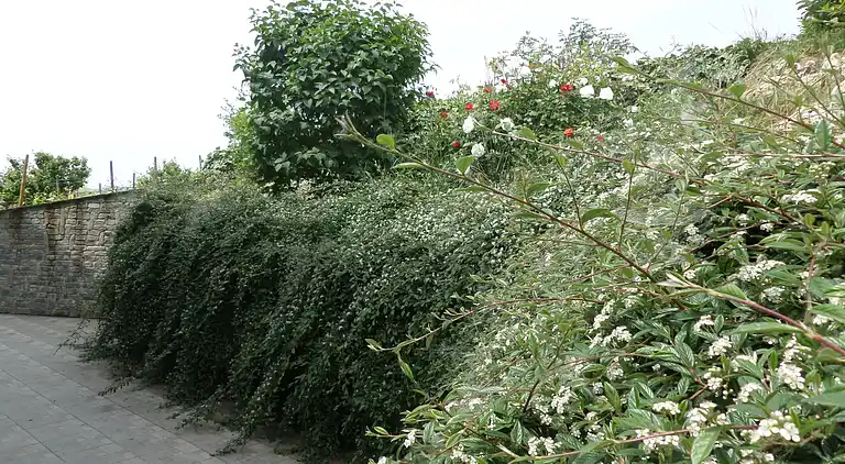 La Casa Blu Wohnung in Villa mit exklusiver Nutzung des
