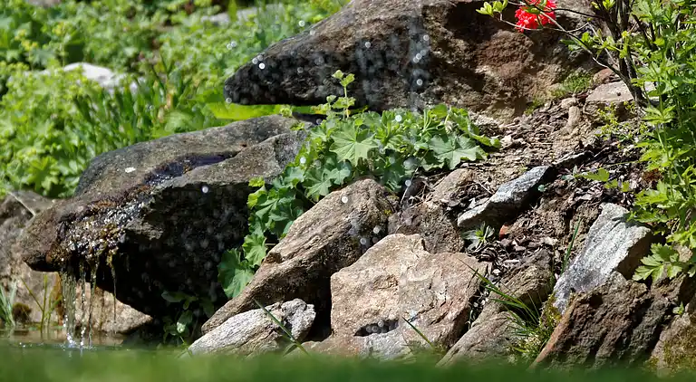 Leilighet i Spiegelau