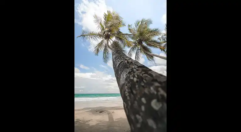 Apartment T4 With Sea View & Infinity Pool