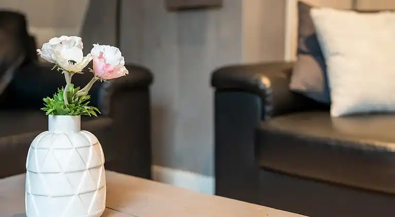 Feriebolig i Stramproy