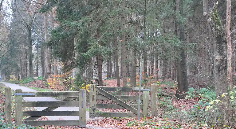 Apartment in Haulerwijk