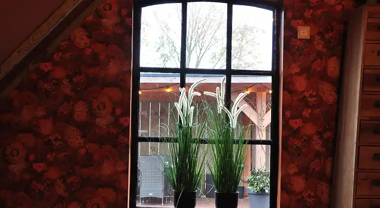 Apartment in Haulerwijk