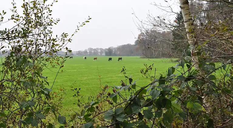 Apartment in Haulerwijk