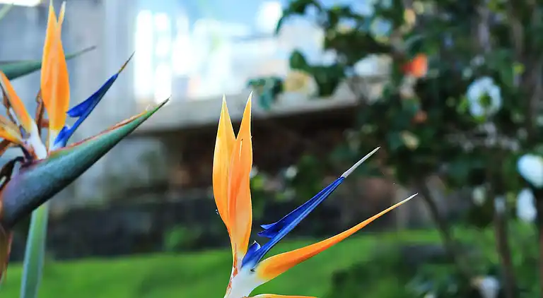 Appartamento vacanze villa in pietra con vista mare nelle