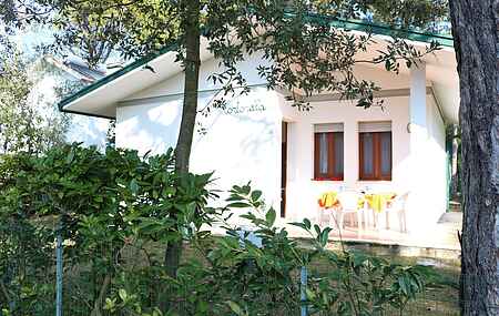 Dream villa with an amazing garden