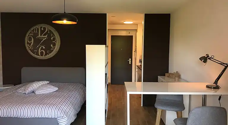 Großes Studio in der Nähe des Zentrums von Epfl und Lausanne