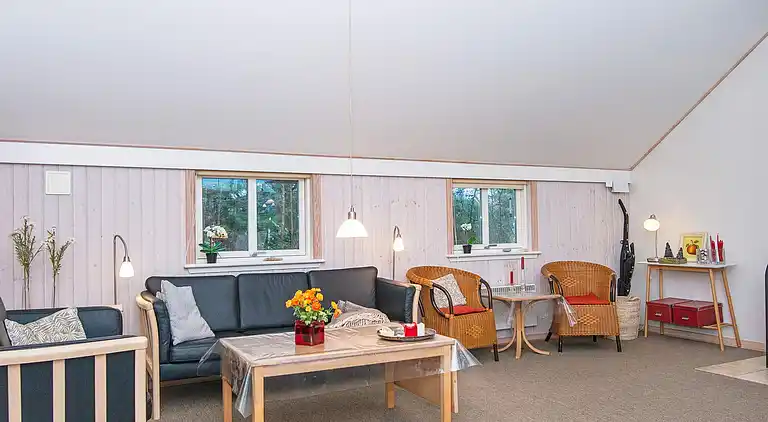 Sommerhus i Bork Havn