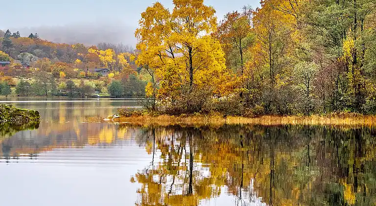 Casa vacanze in Lyngdal