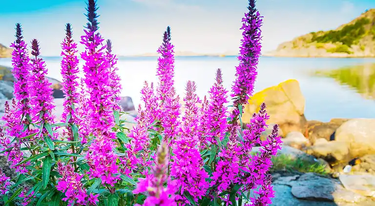 Casa vacanze in Lyngdal