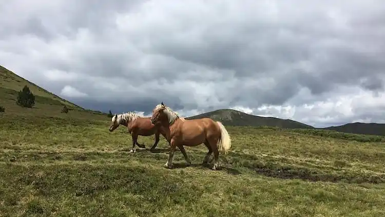 Holiday home in Barbachen
