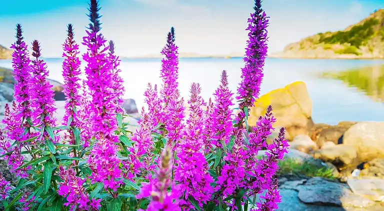 Holiday home in Lyngdal