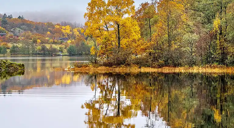 Holiday home in Lyngdal