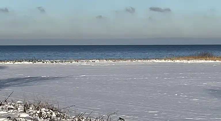 Top modernes Ferienhaus nur 100 m von der Ostsee