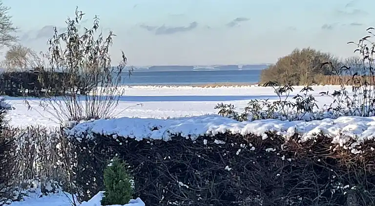 Top modernes Ferienhaus nur 100 m von der Ostsee