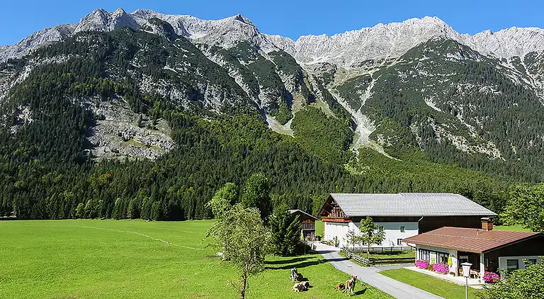 Apartment in Leutasch