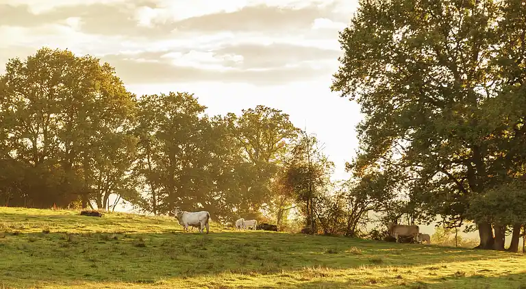 Holiday home in Michaugues