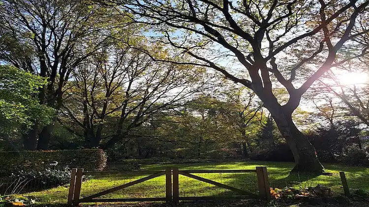 Holiday home in Vessem