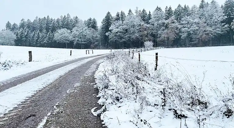 Holiday home in Javorník