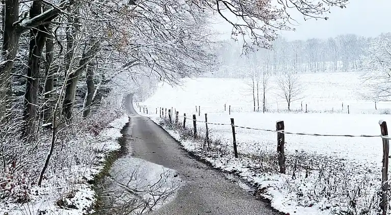 Sommerhus i Javorník