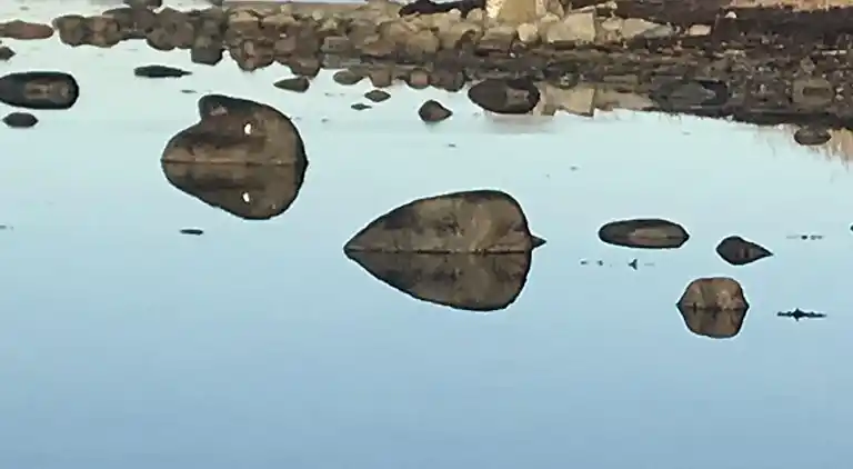 Nyere sommerhus i grønne omgivelser