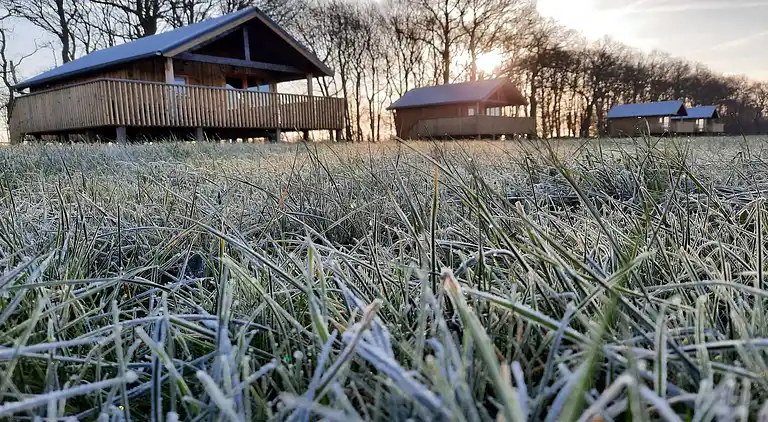 Vakantiehuis in Ruinerwold