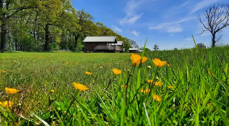 Vakantiehuis in Ruinerwold