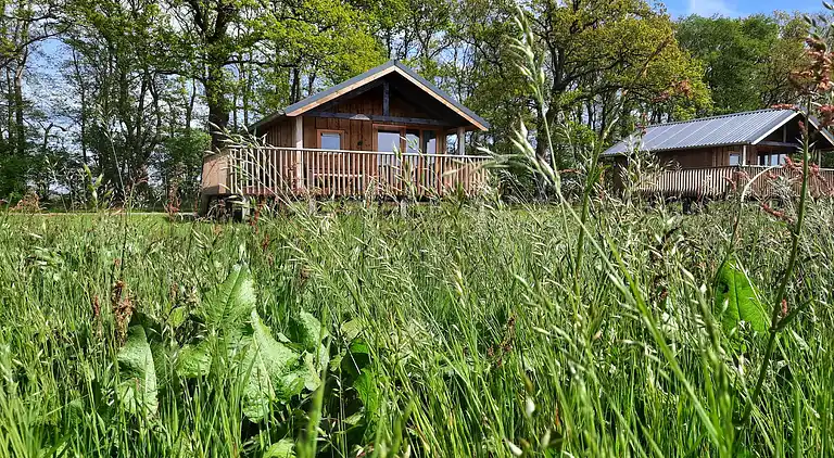 Vakantiehuis in Ruinerwold