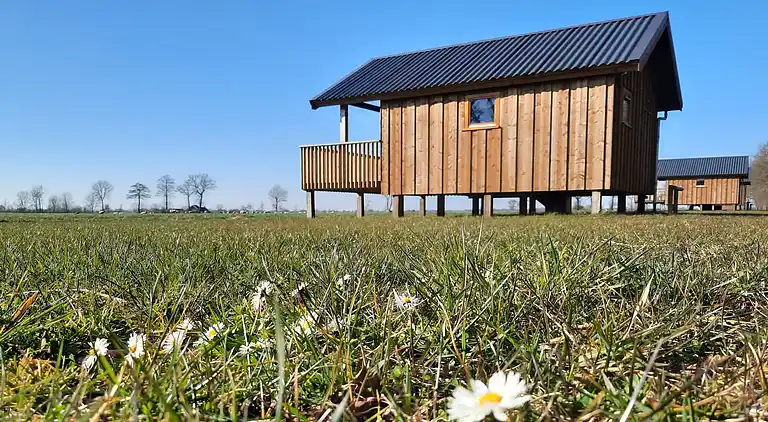 Vakantiehuis in Ruinerwold