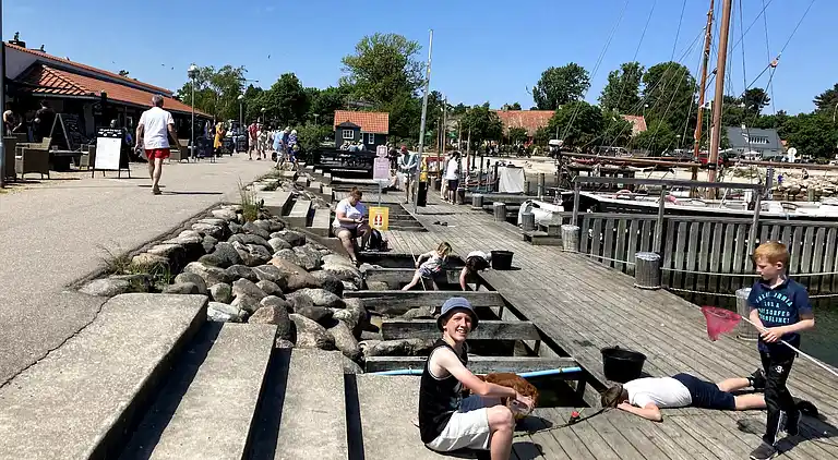 Ferienhaus mit Aussicht und 400 Meter zum Hafen von Rørvig