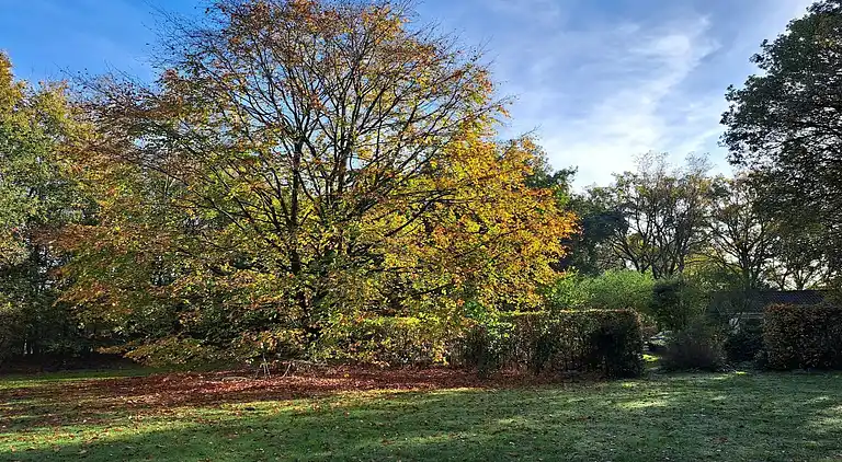 Holiday home in Vessem