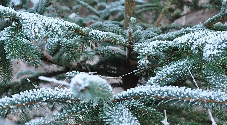 Apartment in Haulerwijk