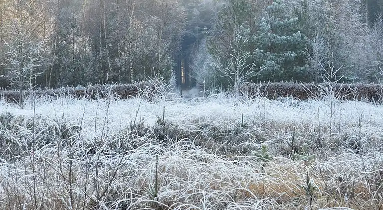 Apartment in Haulerwijk