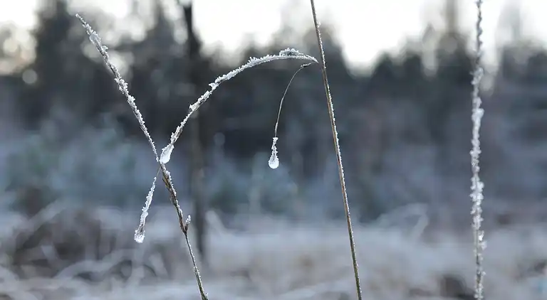Apartment in Haulerwijk