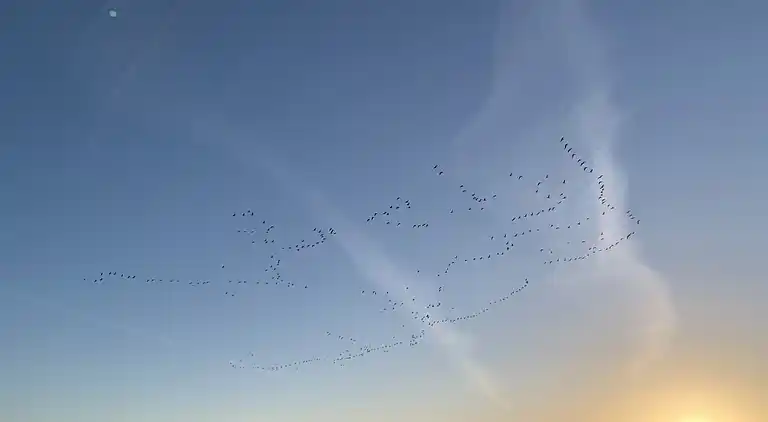 Urlaub in der ersten Reihe zum Wasser