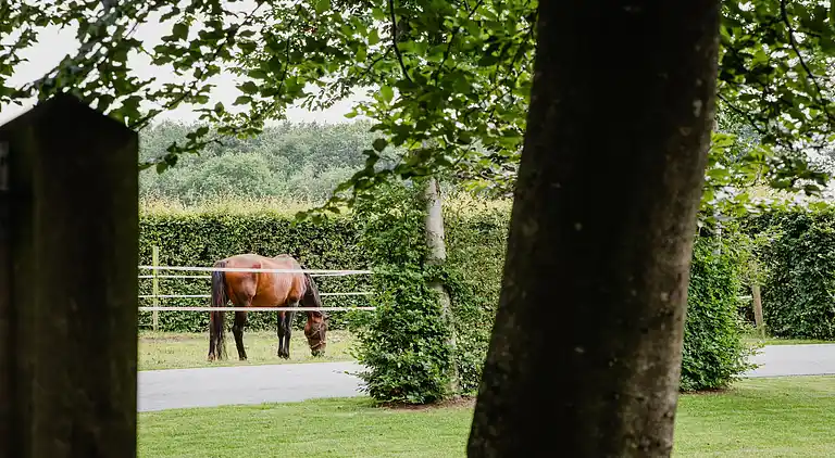 Holiday home in Leende
