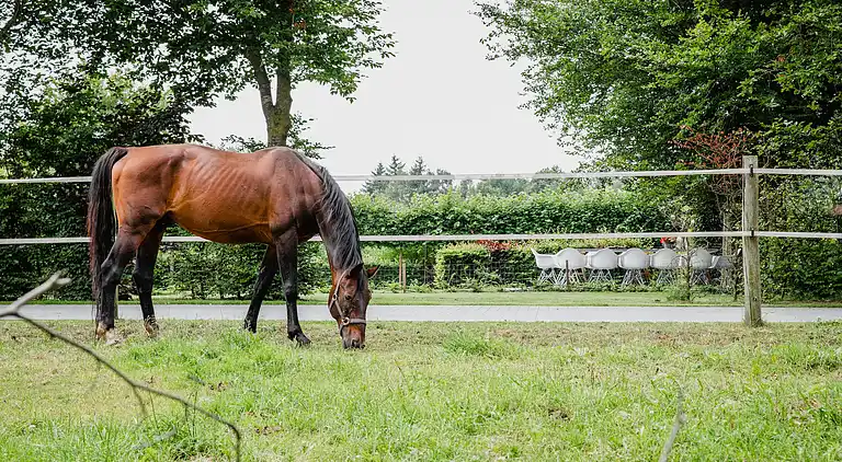 Holiday home in Leende