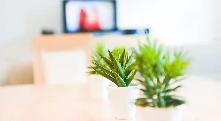 Ferielejlighed i Zell am See