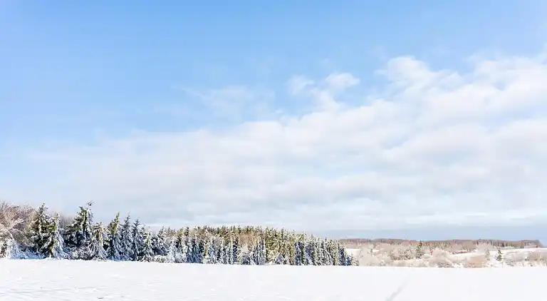 Ferielejlighed i Altenbrak