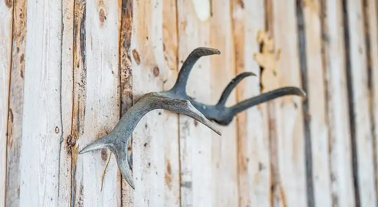 Ferielejlighed i Altenbrak