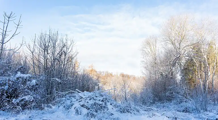 Ferielejlighed i Altenbrak
