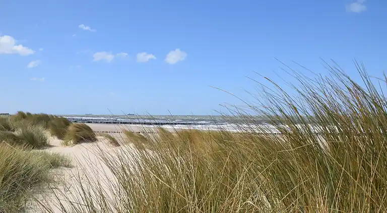 Ferienhaus in Schoondijke