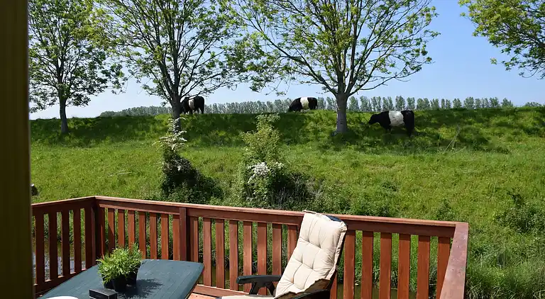 Ferienhaus in Schoondijke