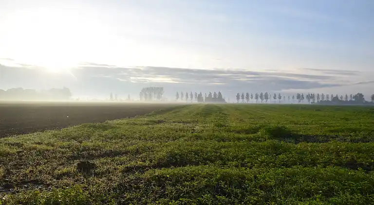 Ferienhaus in Schoondijke